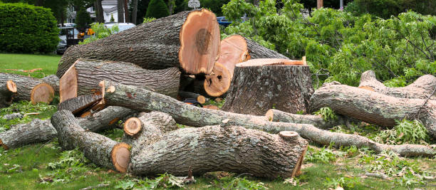 Best Firewood Processing and Delivery  in Oak Island, NC